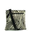MicMac 15278 Zebra01